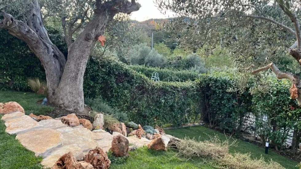 realizzato-giardino-privato-frascati-rm