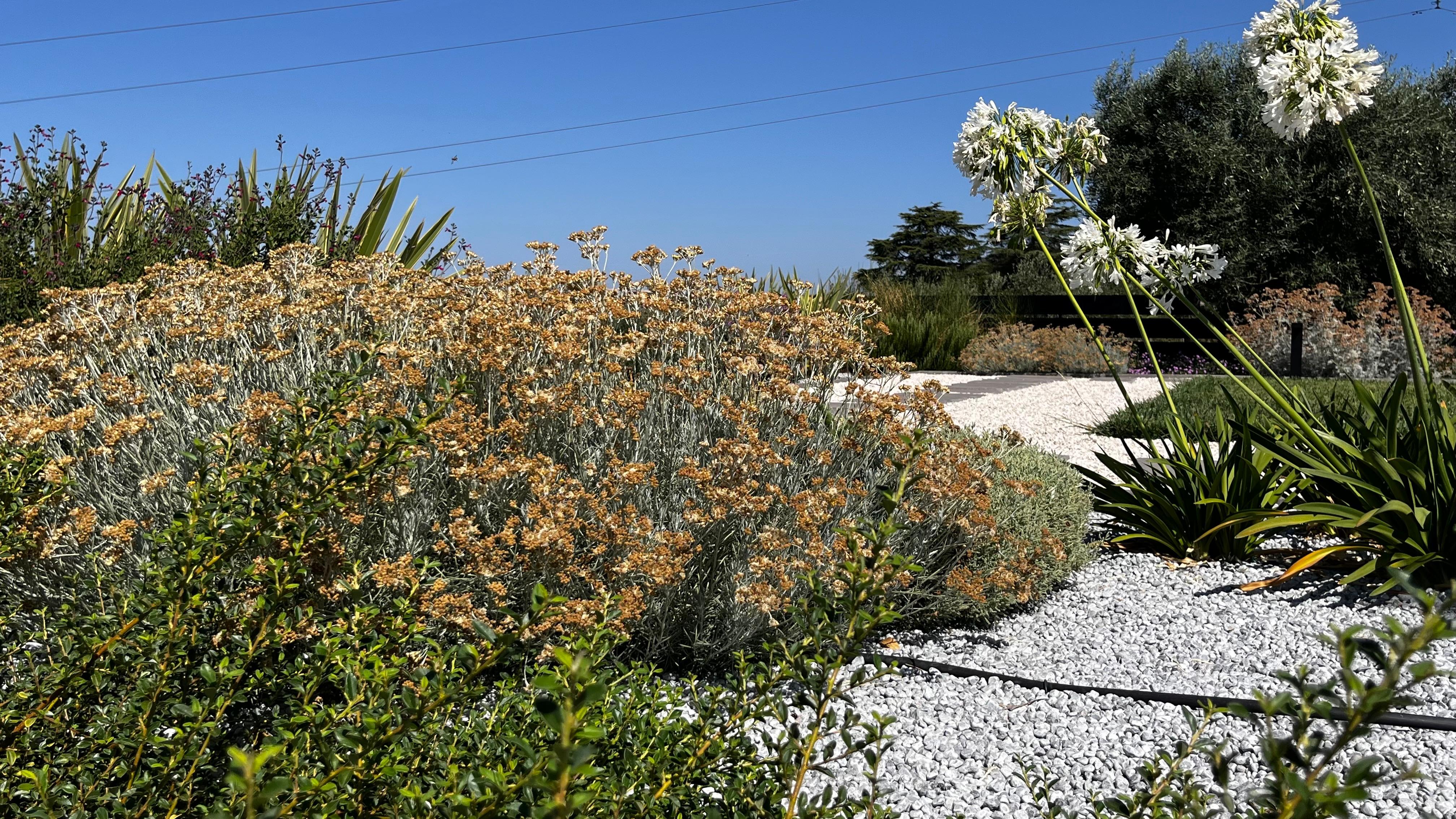 giardini-e-paesaggi-di-giannelli-alessandro