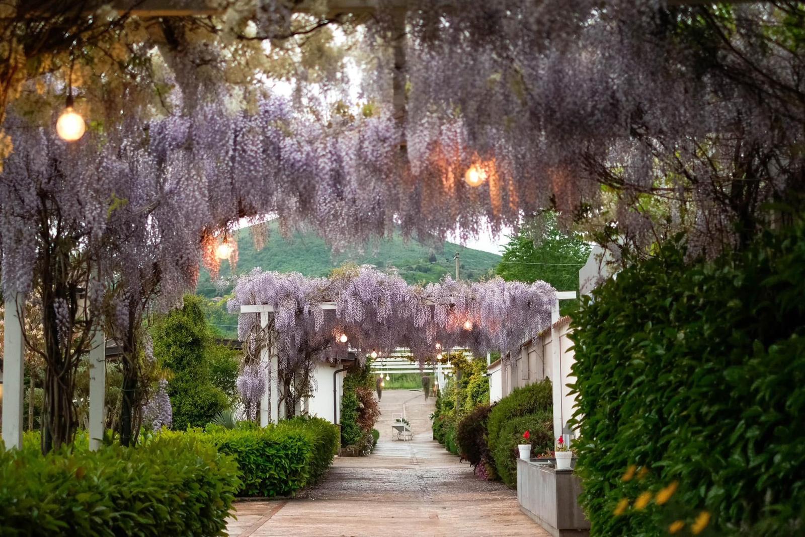 giardini-e-paesaggi-di-giannelli-alessandro