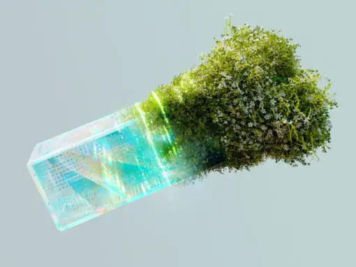 transizione-energetica-e-ruolo-del-verde-urbano