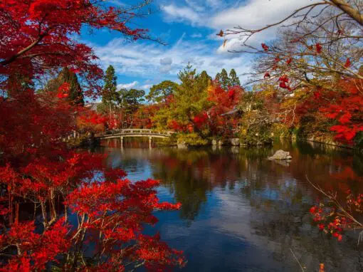 giardino-in-autunno-tra-messa-a-dimora-e-manutenzione