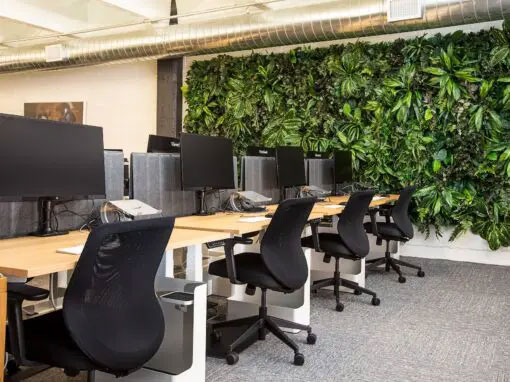 green-office-e-business-garden-innovazione-e-sostenibilita-in-ufficio
