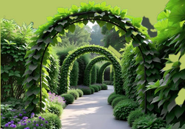 realizzazione-giardini